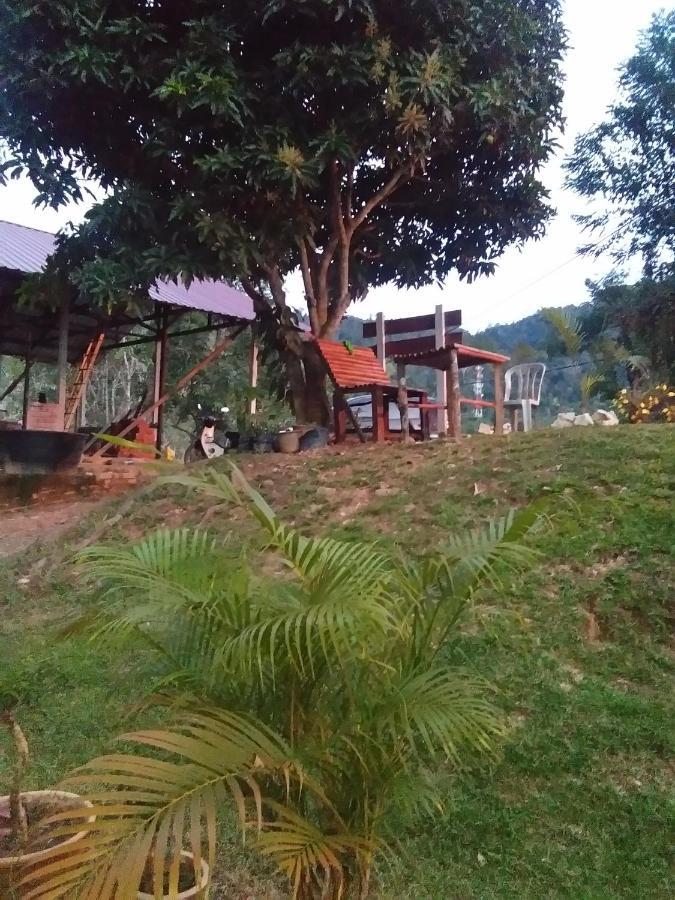 瓜拉大汉 德利马旅馆酒店 客房 照片